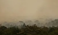 Imagem ilustrativa da imagem Brasil em chamas: foram 33 mil incêndios em outubro