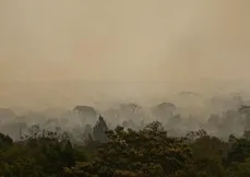 Incêndios florestais devastaram mais de 30 milhões de hectares no país ao longo do ano passado