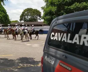 Imagem ilustrativa da imagem Policial militar é hospitalizado após acidente com cavalo na Serra