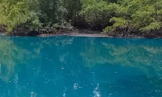 Imagem ilustrativa da imagem Água fica azul em manguezal de Vitória e preocupa moradores