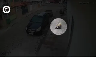 Imagem ilustrativa da imagem Vídeo I Cachorro de grande porte ataca cão pequeno em Jardim Camburi