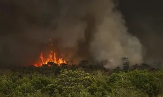 Imagem ilustrativa da imagem Incêndios podem ter afetado mais de 11 milhões de pessoas no Brasil