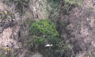 Imagem ilustrativa da imagem Ônibus cai em ribanceira e deixa 17 mortos na Serra da Barriga, em Alagoas