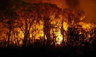 Imagem ilustrativa da imagem PF investiga incêndios criminosos no Pantanal