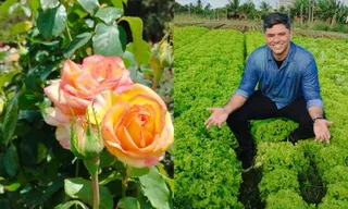 Imagem ilustrativa da imagem Produção de rosas, clima e cultura no campo: destaques da agricultura em Pernambuco