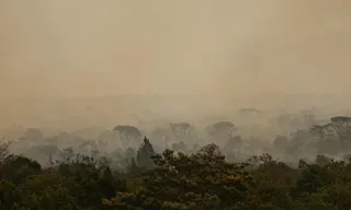 Imagem ilustrativa da imagem Advogado é multado em R$ 50 milhões por incêndio recorde no pantanal