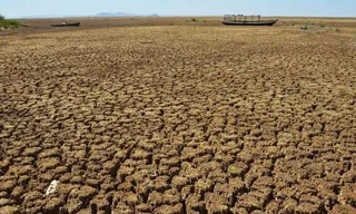 Imagem ilustrativa da imagem Sertão nordestino pode ensinar amazônia a lidar com a seca, diz pesquisador