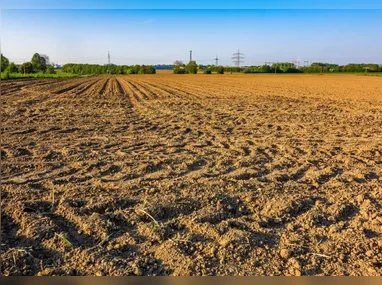 Justiça mandou prender suspeito de causar incêndios em vegetação