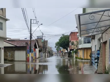 Árvore caiu e atingiu muro em Itaguaçu, mas ninguém se feriu