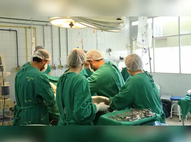 Imagem ilustrativa da imagem Entenda como é feita a testagem de órgãos para evitar infecções em transplantes