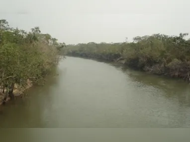 Haddad: Teremos uma arcabouço ecológico no Brasil, o ideal é que isso ocorra antes da COP30