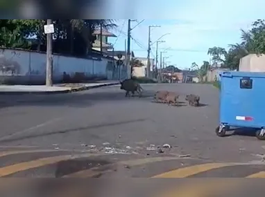 Caminhoneiro desaparece após carreta cair em represa no ES