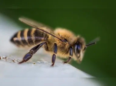 Região Sudeste está em alerta para perigo potencial e perigo de tempestades