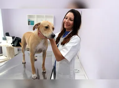 Malu Silva investiu em acupuntura, laser e na cannabis medicinal para tratar a gata Tara