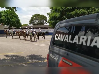 Imagem ilustrativa da imagem Policial militar é hospitalizado após acidente com cavalo na Serra