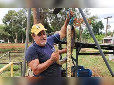 Imagem ilustrativa da imagem Sucuri entra em tubulação e interrompe fornecimento de água em cidade de SP