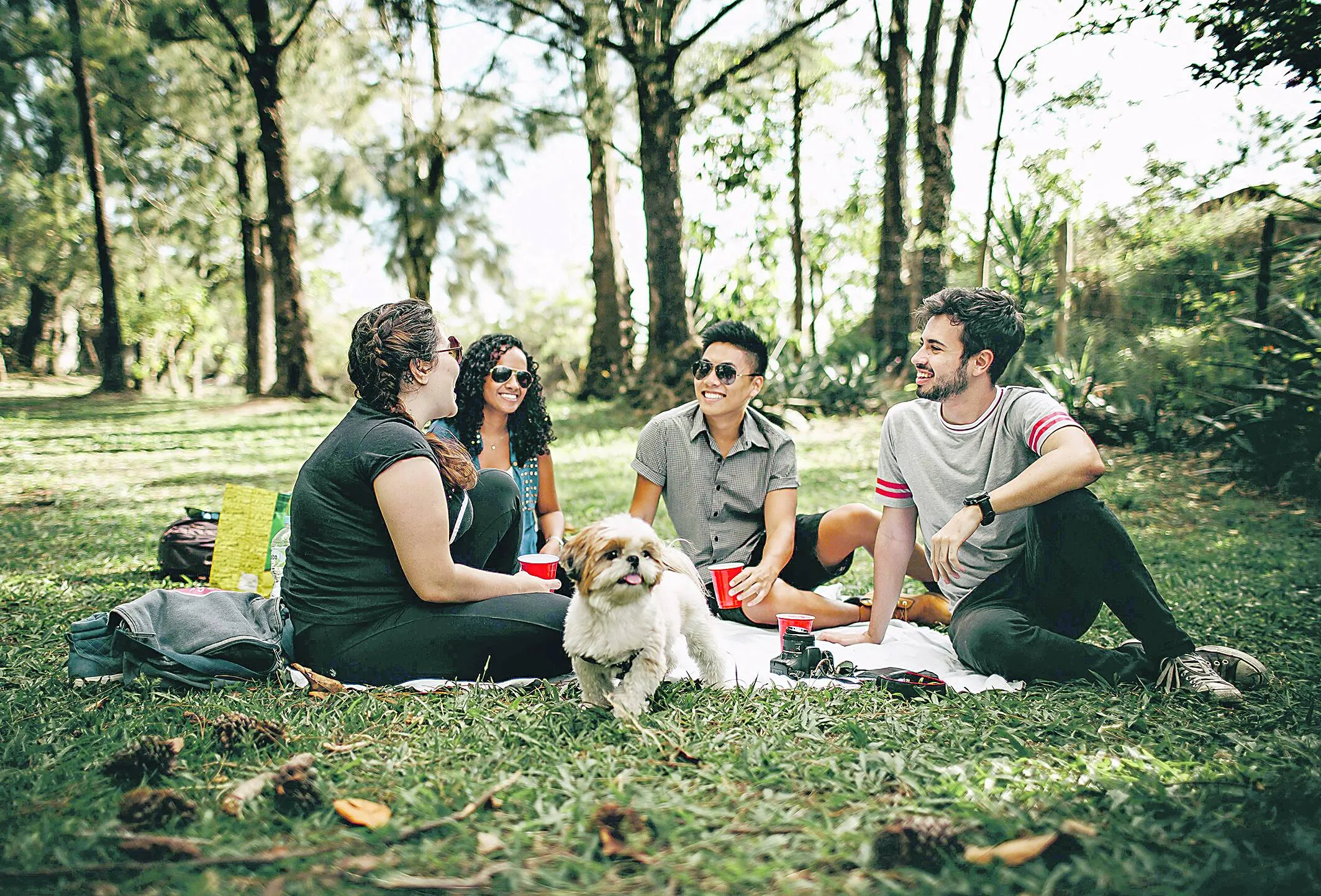 Amigos aproveitam o ar com melhor qualidade em parque: regulamentação de nova lei trará regras mais rígidas