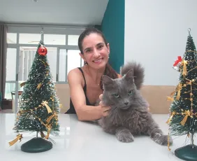 Imagem ilustrativa da imagem Veterinários apontam cuidados com os pets nas festas de fim de ano
