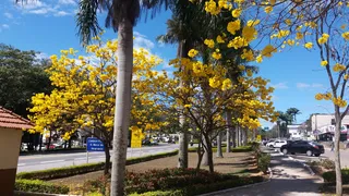 Imagem ilustrativa da imagem Ações para uma cidade cada vez mais verde