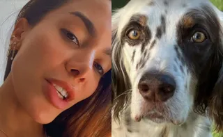 Imagem ilustrativa da imagem Anitta encontra Charlie, seu cachorro, após sumiço no Natal