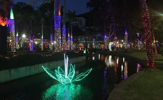 Imagem ilustrativa da imagem Homem é detido após furtar iluminação de Natal em Vitória