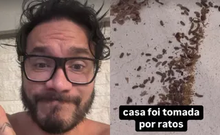 Imagem ilustrativa da imagem Eliezer conta que sua casa com Viih Tube está infestada por ratos: 'Casa tomada'