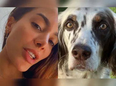 Imagem ilustrativa da imagem Anitta encontra Charlie, seu cachorro, após sumiço no Natal