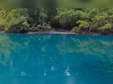 Imagem ilustrativa da imagem MP vai investigar possível poluição em manguezal que ficou azul em Vitória