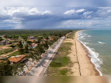 Filhotes de tartaruga vão em direção ao mar | Foto: Divulgação