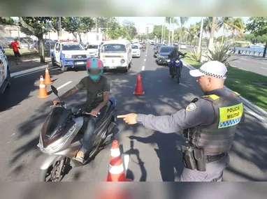 Rede elétrica também foi atingida em queda de árvore