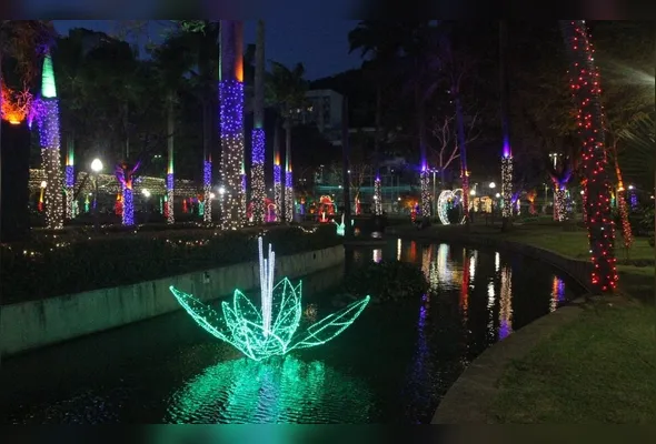 Homem foi detido pela Guarda Municipal de Vitória após furtar equipamentos de iluminação da decoração de Natal do Parque Moscoso