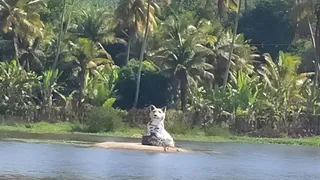 Imagem ilustrativa da imagem Adolescente de 14 anos é morta a tiros por outro menor em Lagoa dos Gatos