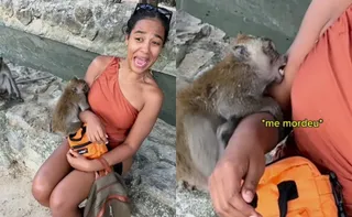 Imagem ilustrativa da imagem Brasileira mordida por macaco na Tailândia paga R$ 4 mil para iniciar tratamento