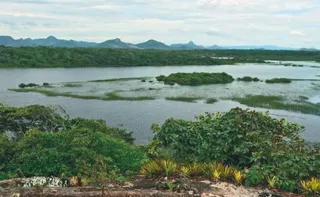 Imagem ilustrativa da imagem Caçador é preso no Parque Paulo César Vinha, em Guarapari