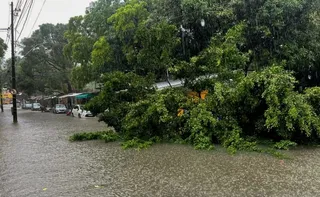 Imagem ilustrativa da imagem Chuvas deixam cinco pessoas mortas em Recife e alerta máximo é renovado