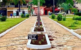 Imagem ilustrativa da imagem Vereador que invadiu sala restrita de unidade de saúde em Minas Gerais é cassado