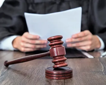 Imagem ilustrativa da imagem Justiça determina que ex pague pensão para 5 cães