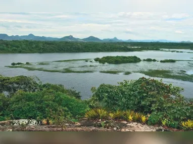 Imagem ilustrativa da imagem Caçador é preso no Parque Paulo César Vinha, em Guarapari