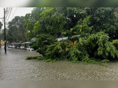 Imagem ilustrativa da imagem Chuvas deixam cinco pessoas mortas em Recife e alerta máximo é renovado