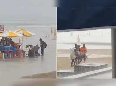 Pescador encontrou o Camarão-Gigante-da-Malásia no Pará e vídeo viralizou nas redes sociais | Foto: Reprodução/Redes sociais