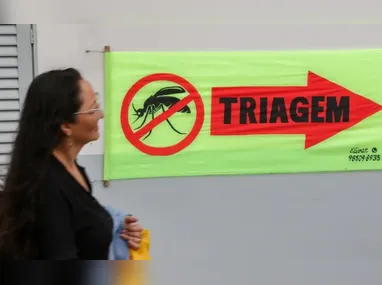 Imagem ilustrativa da imagem Entenda o que são sorotipos da dengue e por que o tipo 3 preocupa