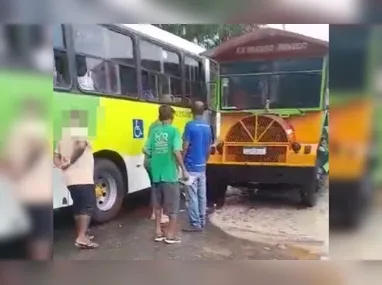 Bicho-preguiça foi resgatado e levado para uma área segura