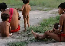 Número de óbitos no território Yanomami teve redução de 21% em 2024