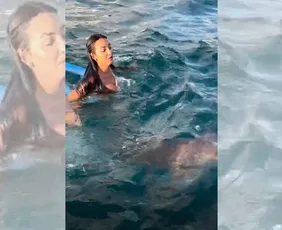 Imagem ilustrativa da imagem VÍDEO | Turista se assusta com tubarão em Fernando de Noronha