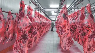 Imagem ilustrativa da imagem China suspende compra de carne bovina do Brasil