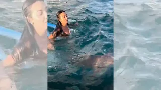 Imagem ilustrativa da imagem VÍDEO | Turista se assusta com tubarão em Fernando de Noronha