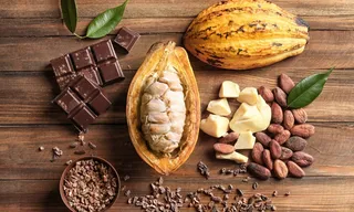 Imagem ilustrativa da imagem Onde nasce o chocolate que emociona
