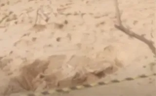 Imagem ilustrativa da imagem Ossada humana é encontrada na Praia de Itaparica, em Vila Velha