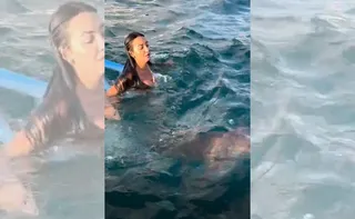 Imagem ilustrativa da imagem VÍDEO | Turista se assusta com tubarão em Fernando de Noronha