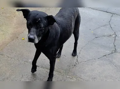 Ketlyn Santos Faria foi encontrada morta no quarto onde dormia